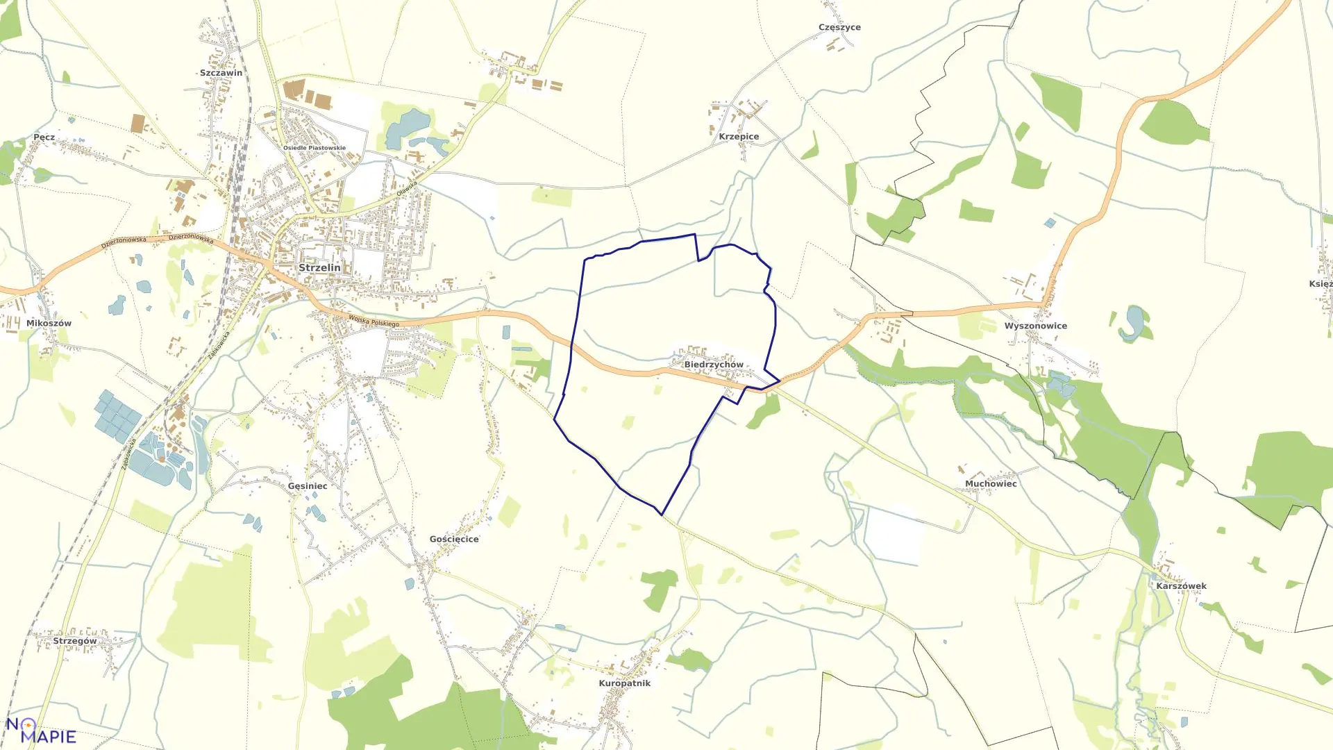 Mapa obrębu BIEDRZYCHÓW w gminie Strzelin